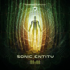 Sonic Entity - 11 11 (sample)