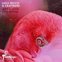 Luca Secco & Craftkind - The Future