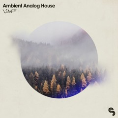 Sample Magic - Ambient Analogue House