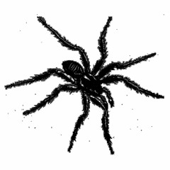 Pizzica tarantata n 026 (Bjorn Torske & Trym Søvdsnes rework)