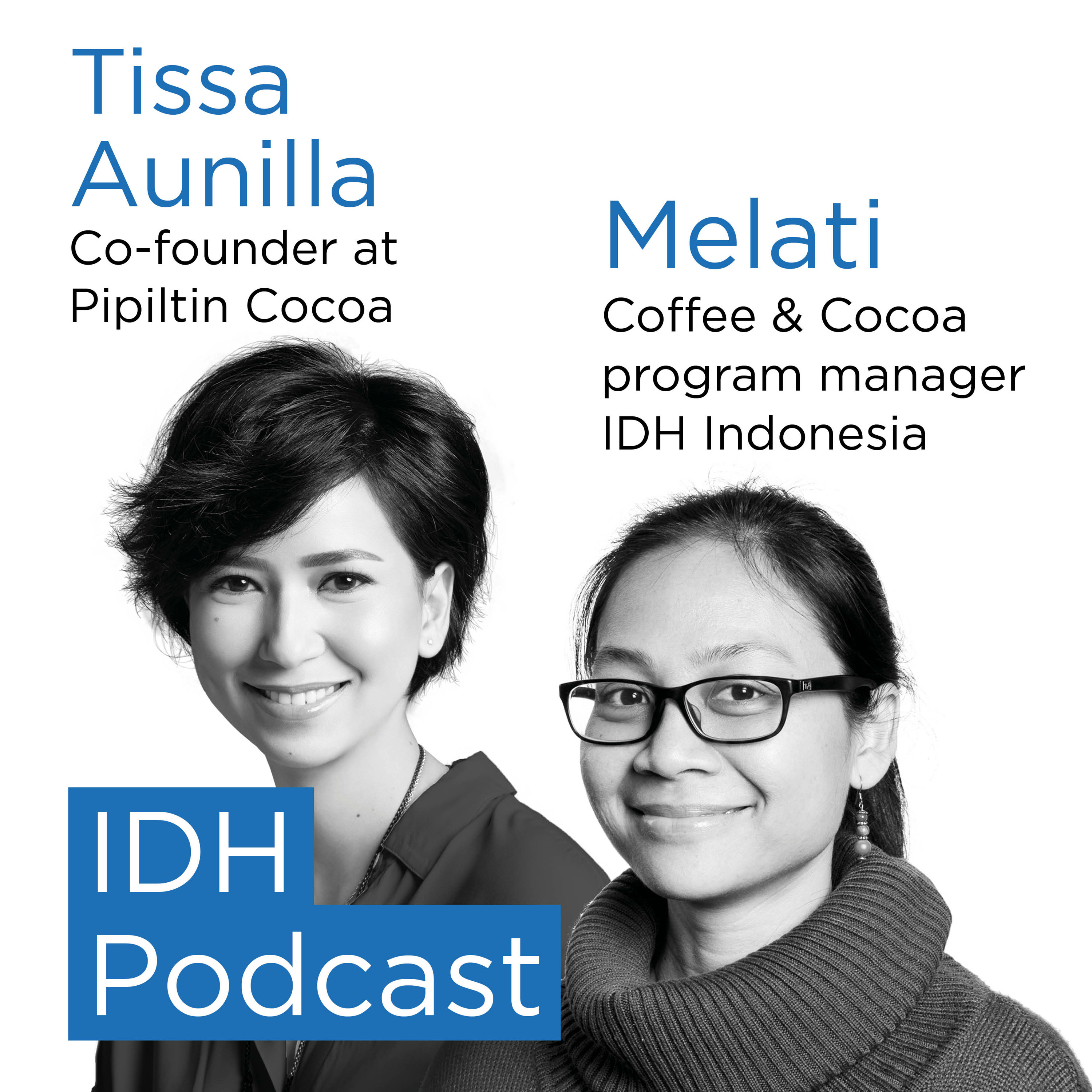 IDH Podcasts
