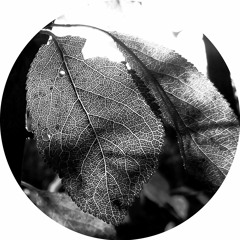 PREMIERE : Aleja Sanchez - Epona [Affin]