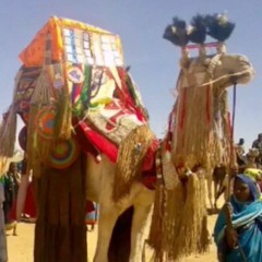 ابراهيم ادريس الكيروان: السارو أهلنا وللمسار عزوو