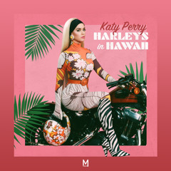 Harleys in Hawaii (MAGIXX Remix)