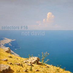 selectors #16: not david