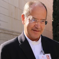 Dom Walmor fala sobre o Sínodo (Parte3)