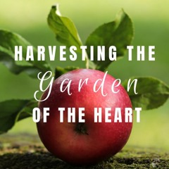 Harevsting The Garden Of Your Heart - Rukmini Devi Dasi