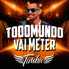 MC TIMBU - TODO MUNDO VAI METER ( PARÓDIA MARÍLIA MENDONÇA - TODO MUNDO VAI SOFRER )