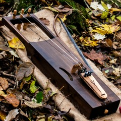 Tagelharpa SP30339 - D