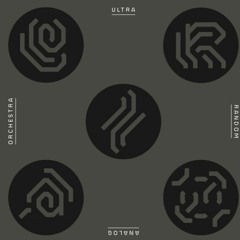 07 the ultra random analog orchestra - Hindsight