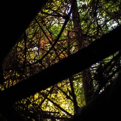 I Hope That The Forgotten People Will Not Have Forgotten How To Fight