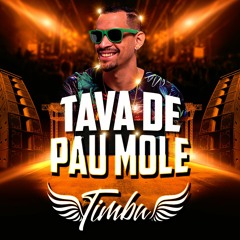MC TIMBU - TAVA DE PAU MOLE ( PROD. TIMBU )