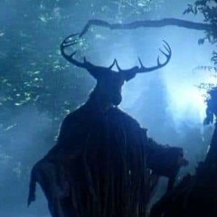Sometimes a Wild God - Tom Hirons