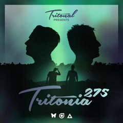 Tritonia 275