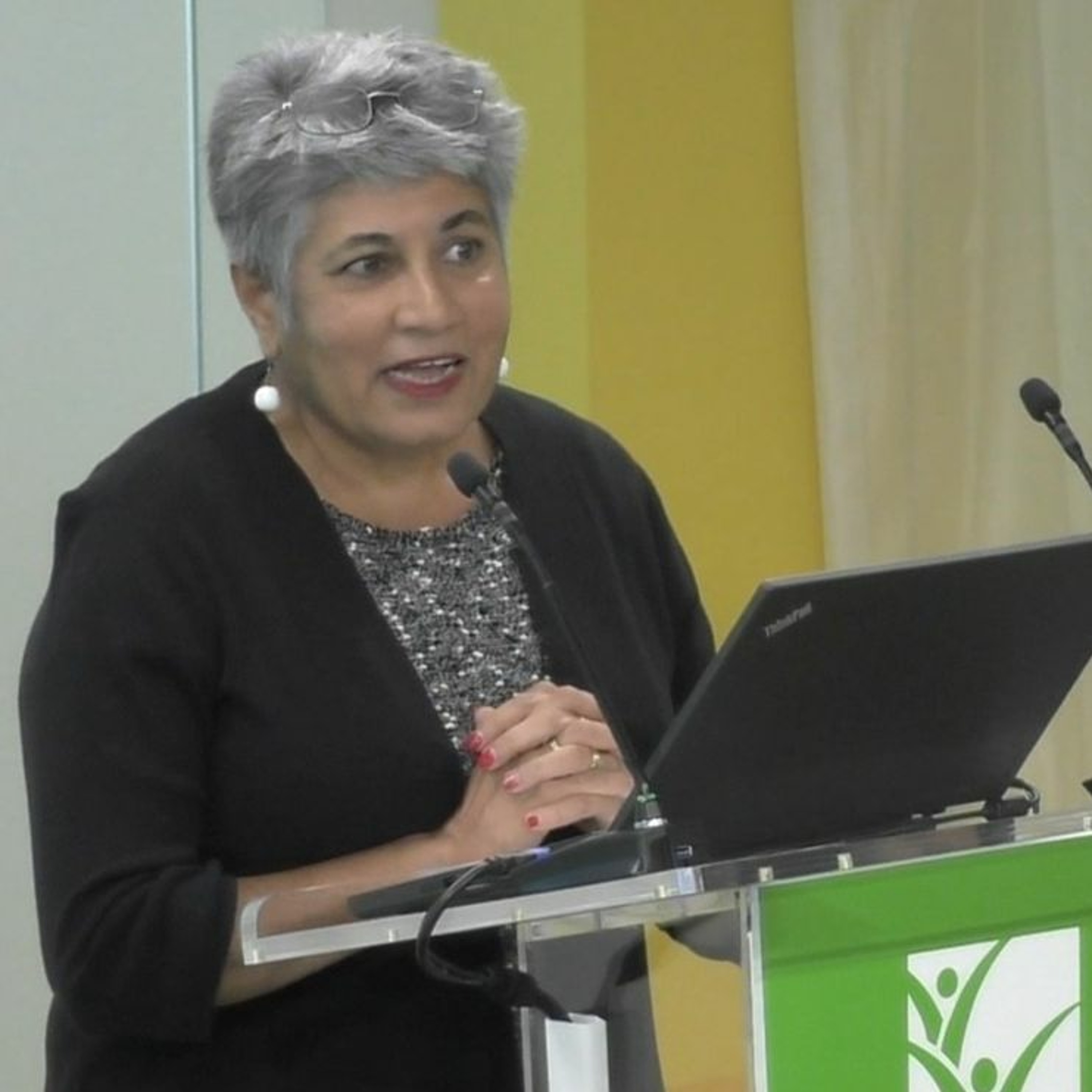 IFPRI PolSem:  Information, Governance, and Rural Service Delivery - 10/21/2019 RPandya-Lorch episode artwork