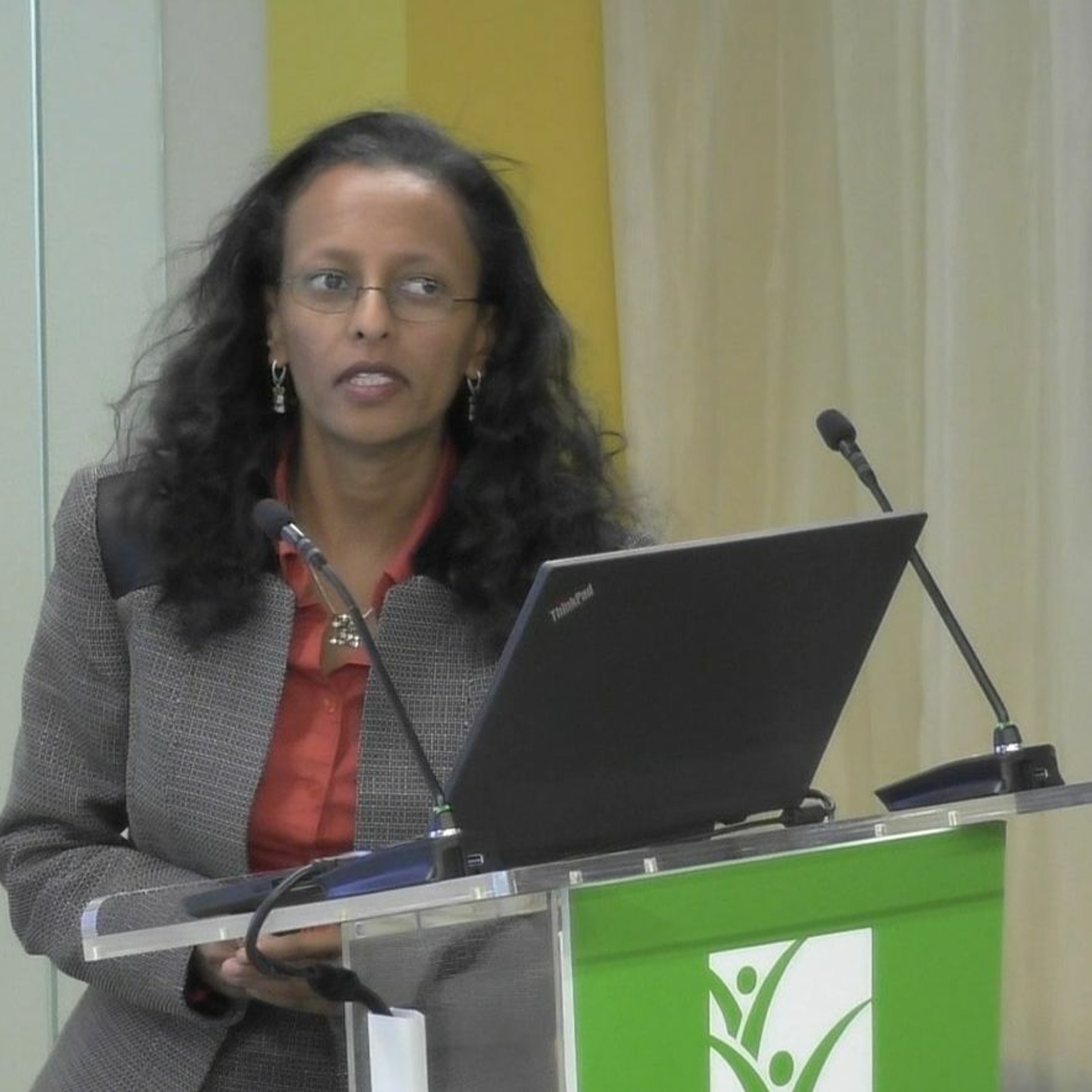 IFPRI PolSem:  Information, Governance, and Rural Service Delivery - 10/21/2019 TMogues episode artwork