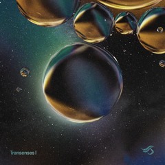 Premiere: RIGOONI - Sopdet [Transensations Records]