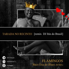 Flamingos - Baco Exu do Blues ( Dj Itin do Brasil Funk Edit [Tarada no Recinto] )
