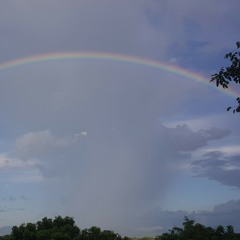 Have you ever seen the rain Thai flute