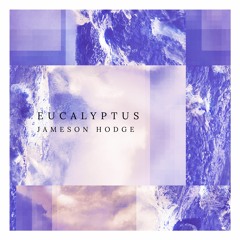 Eucalyptus