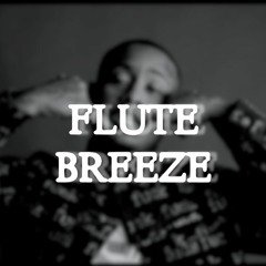 [FREE] Migos Type Beat - 'Flute Breeze' | Trap Hip hop Instrumental (Prod. SokolovBeats)
