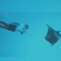 Mee roefa kuraa aadheys