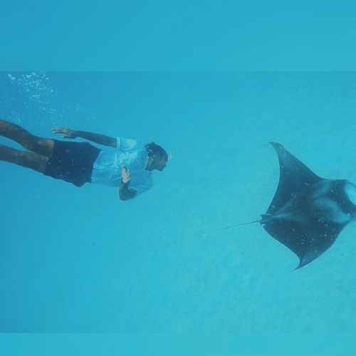 Mee roefa kuraa aadheys