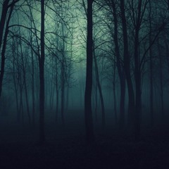 Wido Feld - Black Night