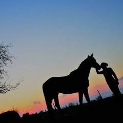 5. Mission November 2019