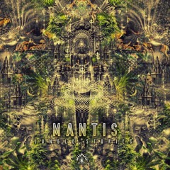 08 Mantis - Jungle Story