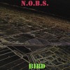 Bird Bird