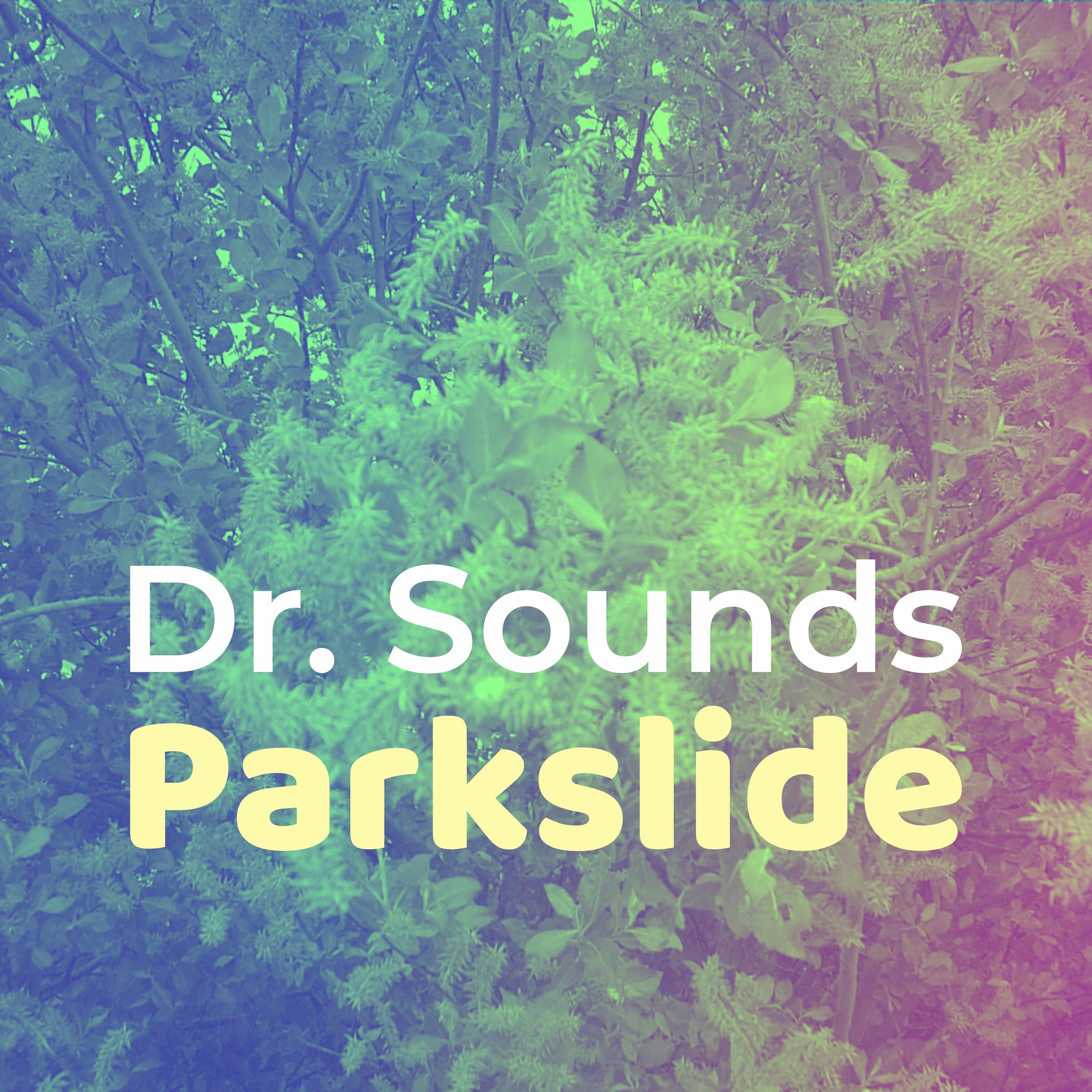 Parkslide (Demo 2) episode artwork
