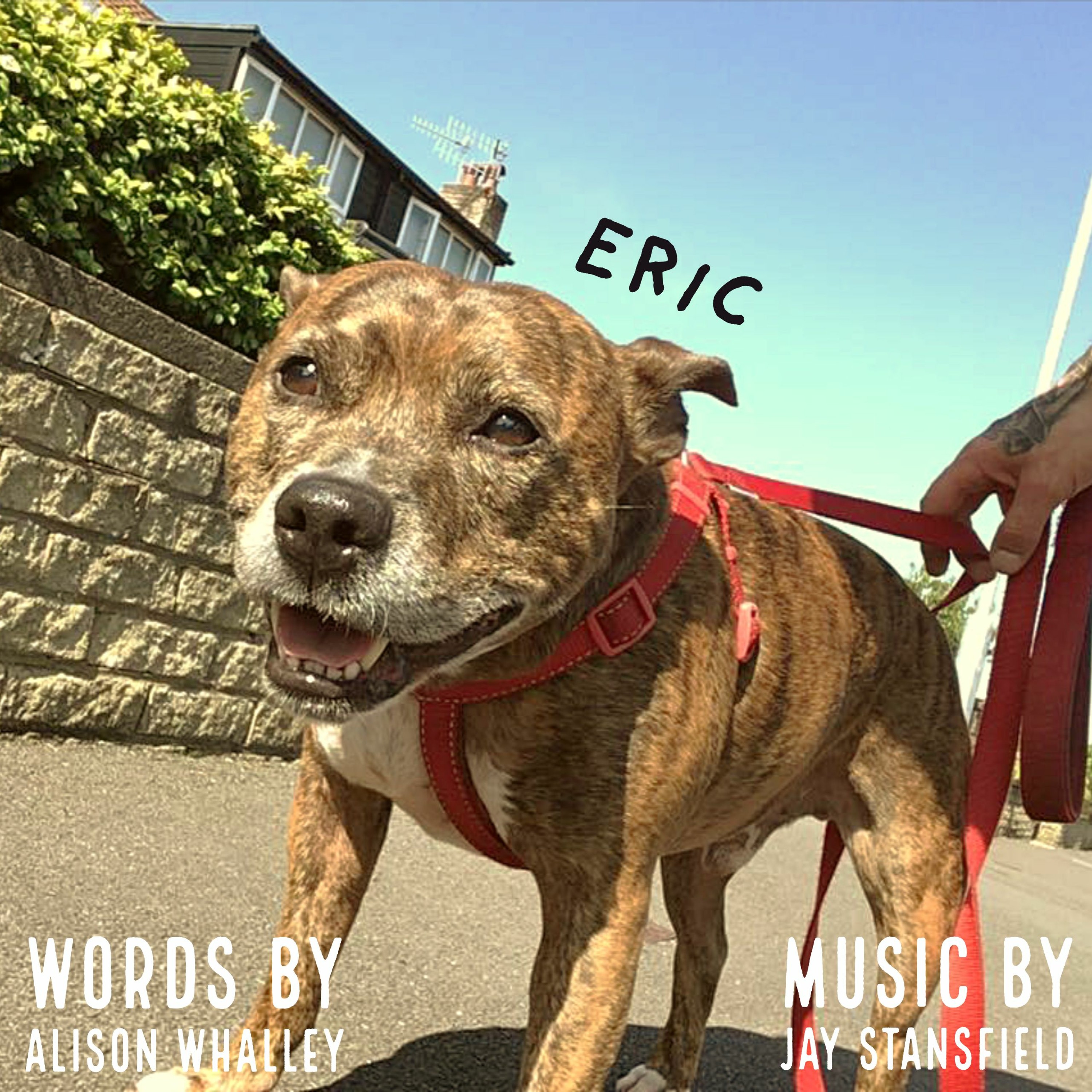 Eric episode artwork