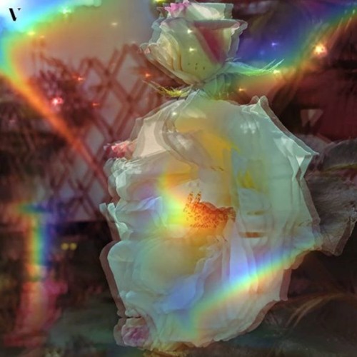 Easy Way Out [prod. shxrkz] - @placidful