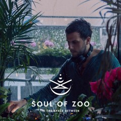 Ben Eager (Soul Of Zoo) is The Space Between