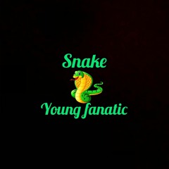 Snake-Young Fanatic (Official Audio)