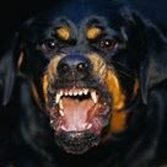 Lil Bean -let em out