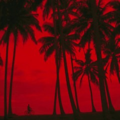 Palm Trees Fixed Vocals