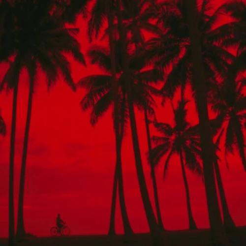 Palm Trees Fixed Vocals