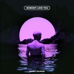 Nobody Like You