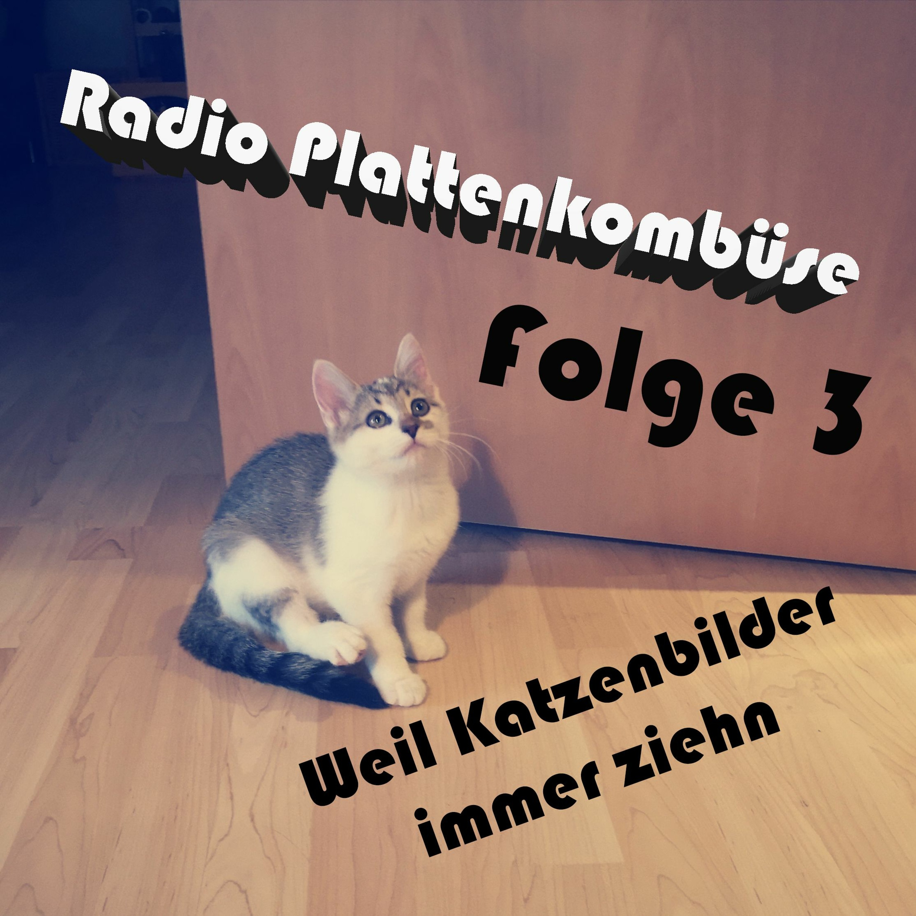 Radio Plattenkombüse