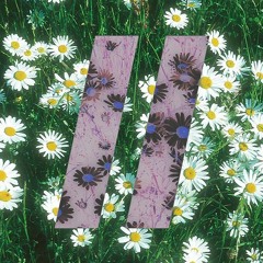 Daisy Days