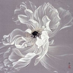 Цагаан Өнгөт Асар 2004