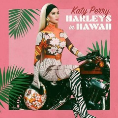Katy Perry - Harleys in Hawaii (Slowking Remix)