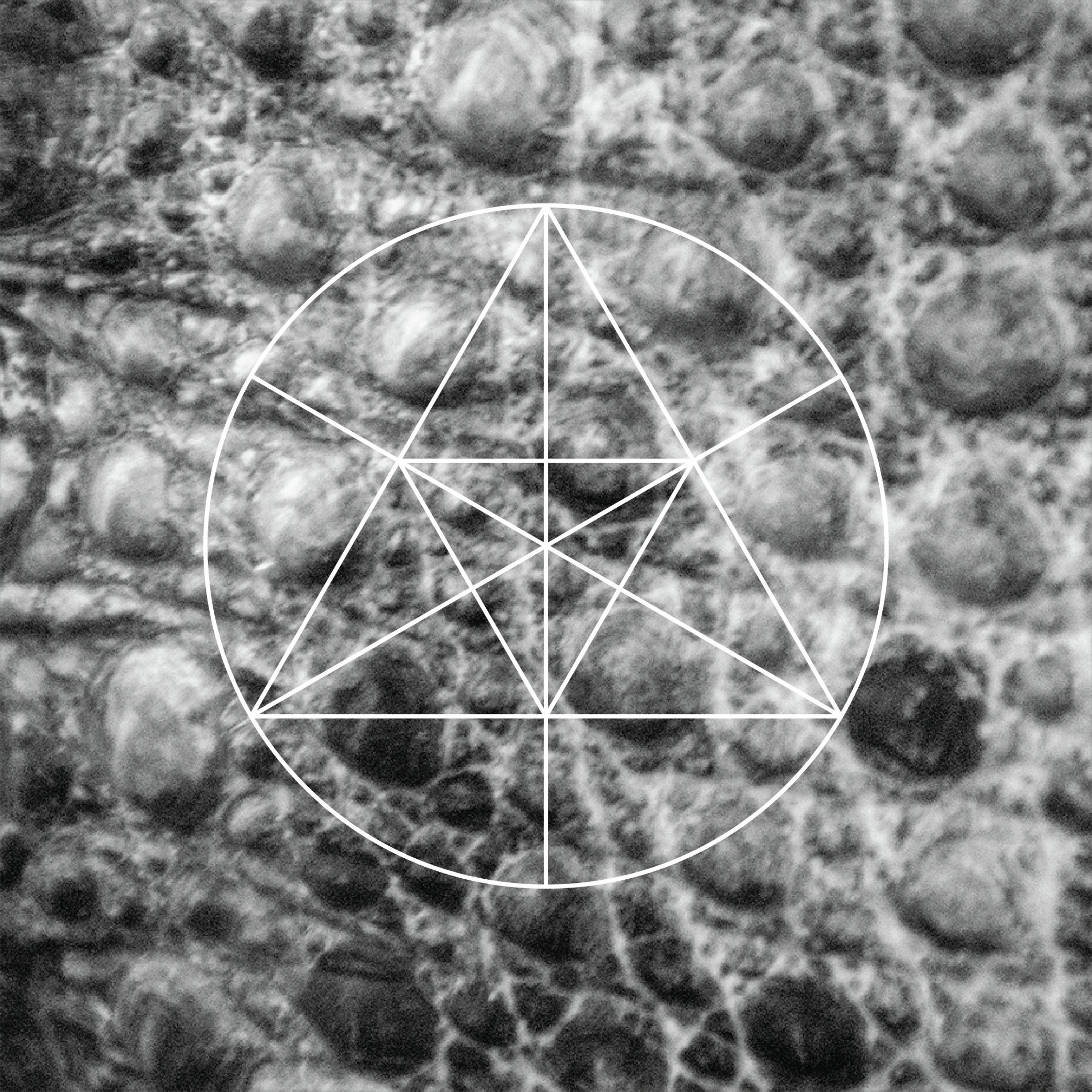Mysteries of the Deep
