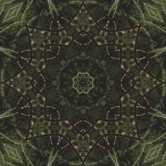 Selva Digital