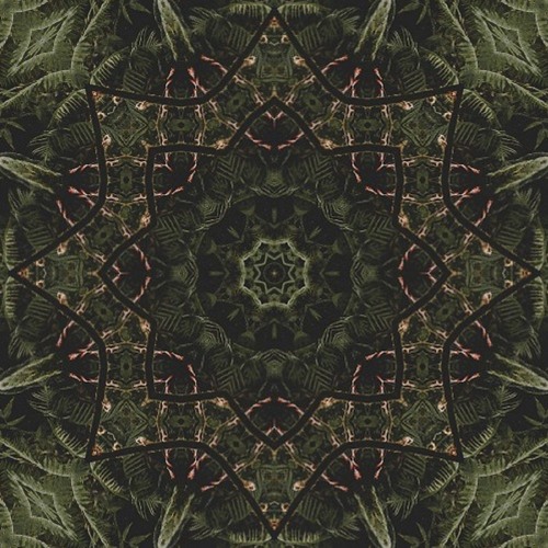 Selva Digital