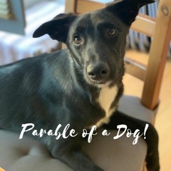 Good boy! Good girl! (Parable of a dog!) - Pr Dave Yeow