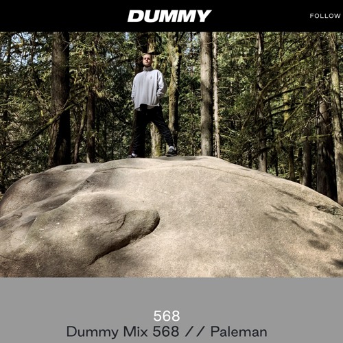 Paleman - Sonic Sketches Mix for Dummy Magazine