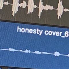 honesty cover